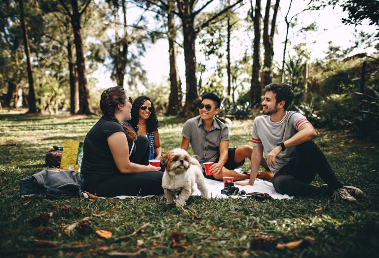 Summer Picnic Essentials: Your Guide to a Perfect Outdoor Adventure